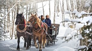 Pferdeschlitten | © saalbach.com, Mirja Geh